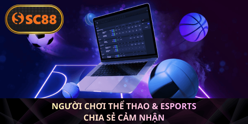 Người chơi thể thao & Esports chia sẻ cảm nhận